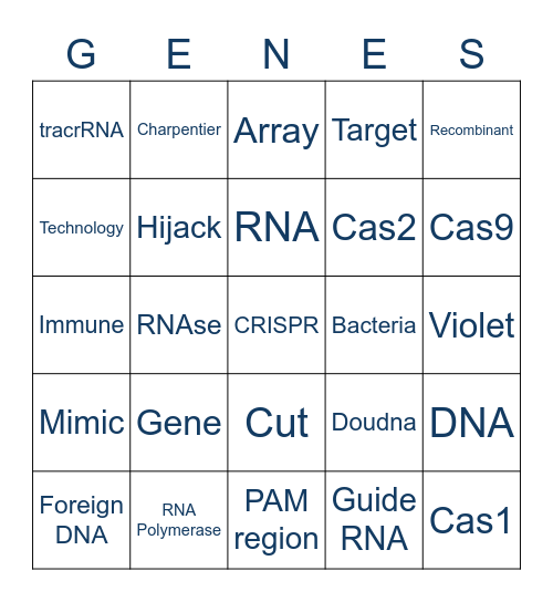 CRISPR: How Does the Future of Biotechnology Work? Bingo Card