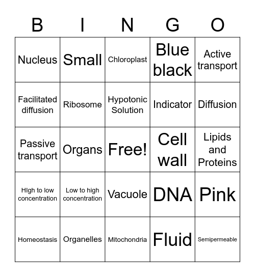 LS- 2nd Quarter Bingo Card