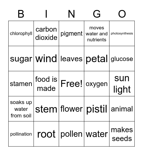 Plant Bingo Card