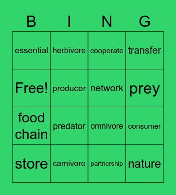 5th Grade: Unit 3 Part 1 Vocabulary Bingo Card