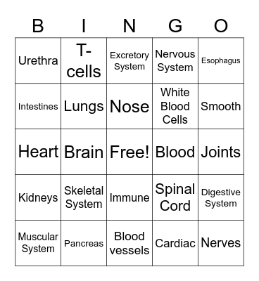 Body Systems Bingo Card