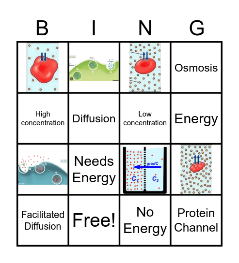 Cell Transport Bingo Card