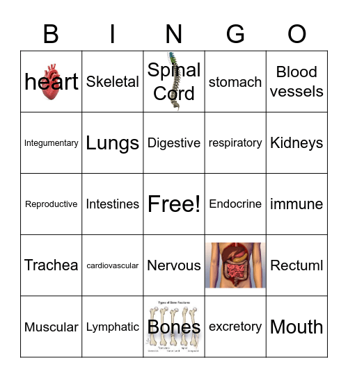System Bingo Card