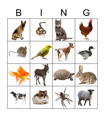 Animals Bingo Card