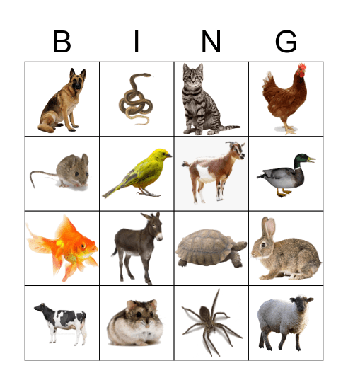 Animals Bingo Card