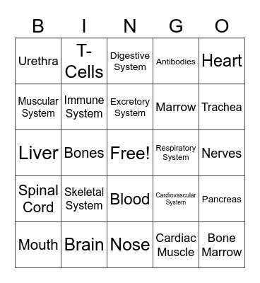 Body Systems Bingo Card