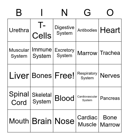 Body Systems Bingo Card