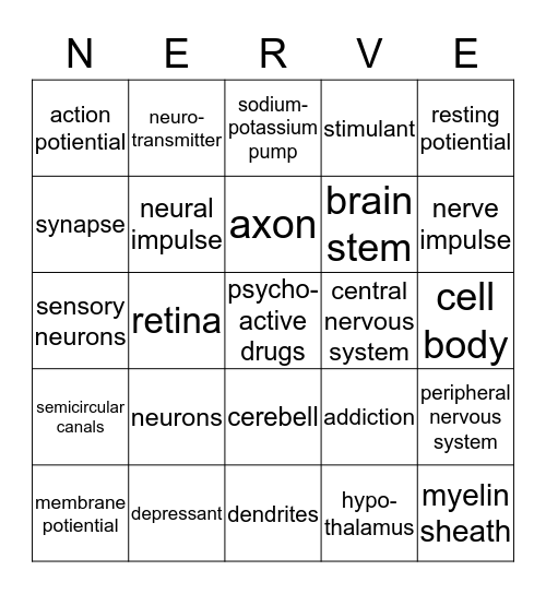 Chapter 41  Bingo Card