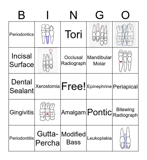 Dental  Bingo Card