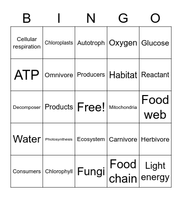 Review Bingo Card