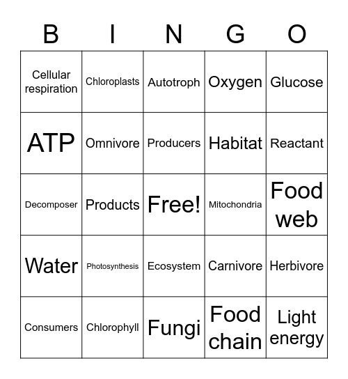 Review Bingo Card