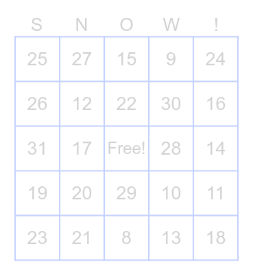 Silver Winter Bingo Card