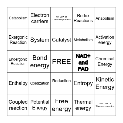Metabolic Processes Bingo! Bingo Card