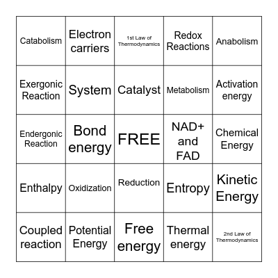 Metabolic Processes Bingo! Bingo Card