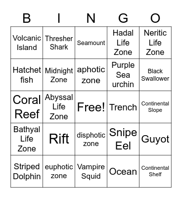 Oceanography Bingo Card