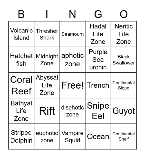 Oceanography Bingo Card