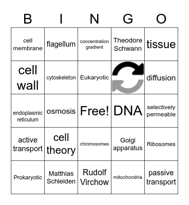 Science chapter 2 Bingo Card