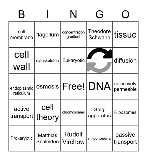 Science chapter 2 Bingo Card