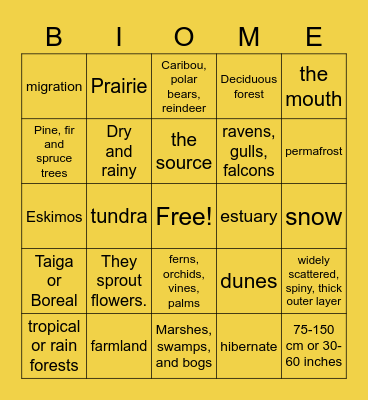 BIOME Bingo Card