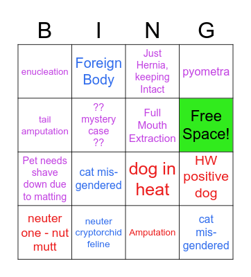 Vet Services/Surgery Bingo Card