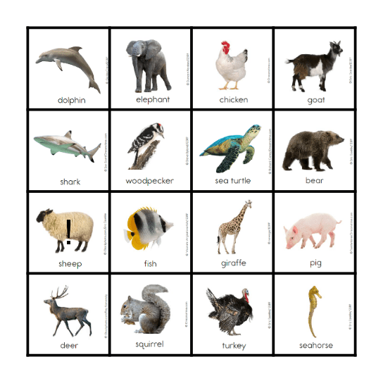 ANIMALS Bingo Card