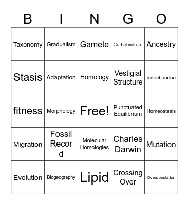 Evolution Bingo Card