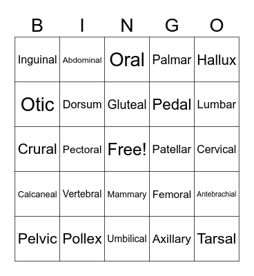 Body Regions Anatomy Review Bingo Card