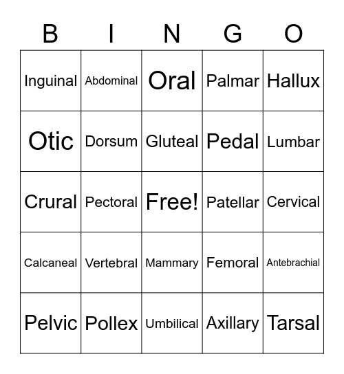 Body Regions Anatomy Review Bingo Card