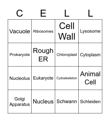 Cell Organelles Bingo Card