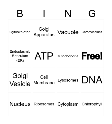 Cell Structure BINGO Card