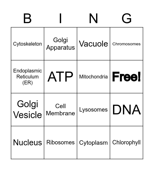Cell Structure BINGO Card