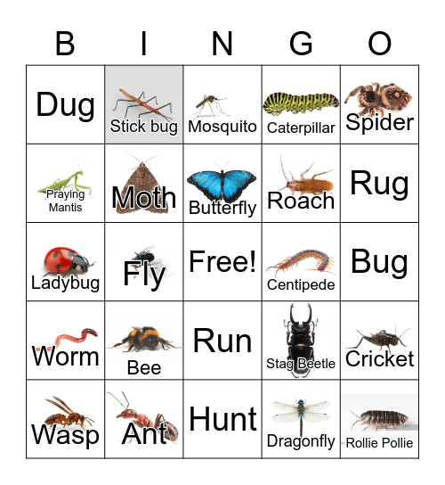 Bugs Bingo Card