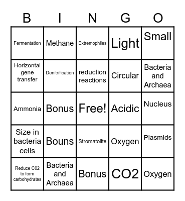 Bacteria and Archaea Bingo Card
