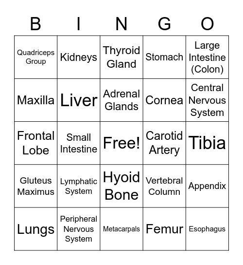Anatomage Table Bingo! Bingo Card