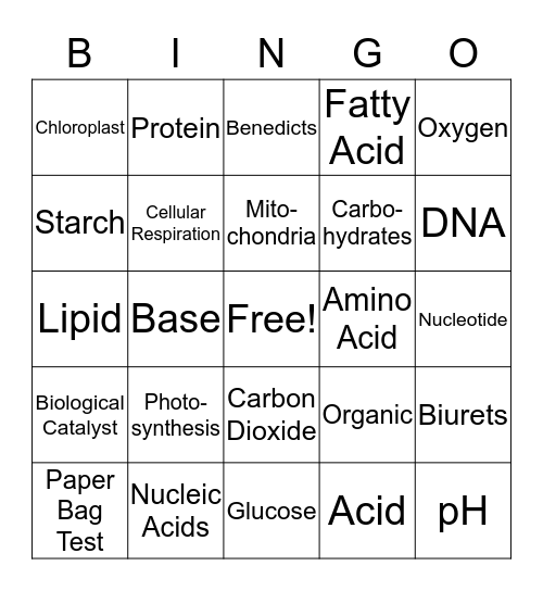 Biochemistry Bingo! Bingo Card