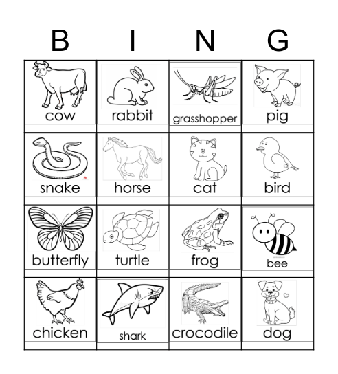 Viviparous vs Oviparous Bingo Card