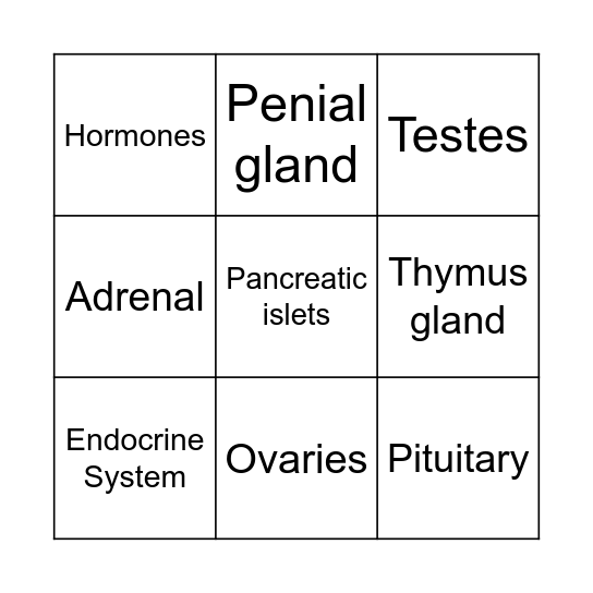 Endocrine Bingo Card