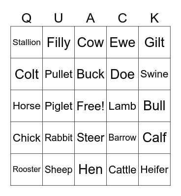 Animal Terminology Bingo Card