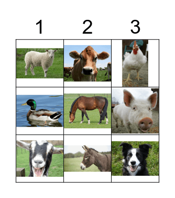 Farm Animals Bingo Card