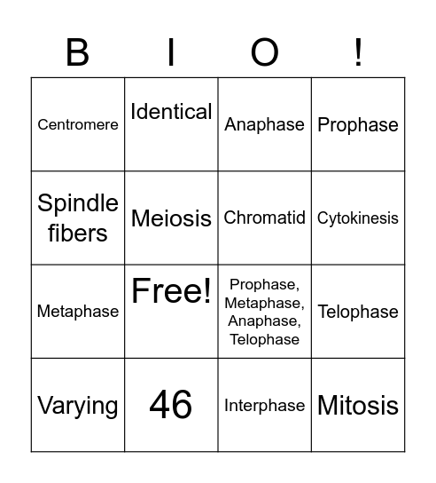 Mitosis & Meiosis Bingo Card