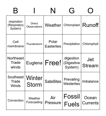 Review Bingo Card