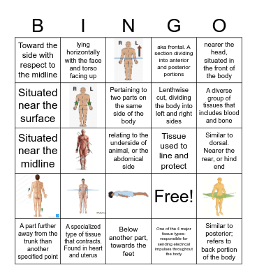 Anatomical Language Bingo Card