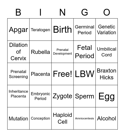 Prenatal Bingo Card