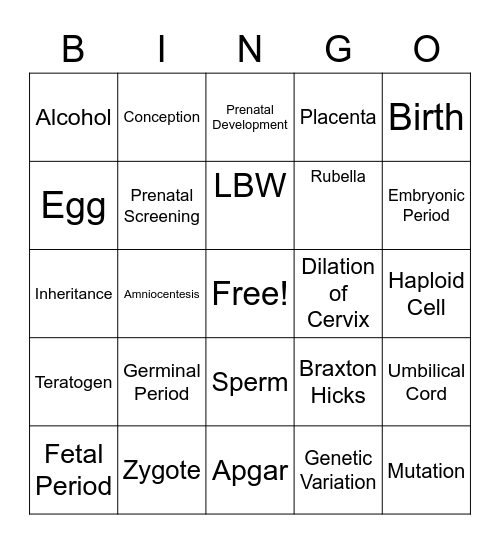 Bingo Two Bingo Card