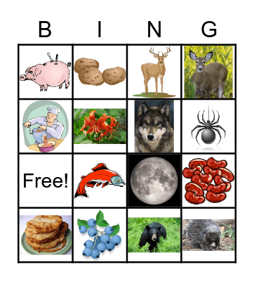 nsəlxcin foods/ animal names Bingo Card