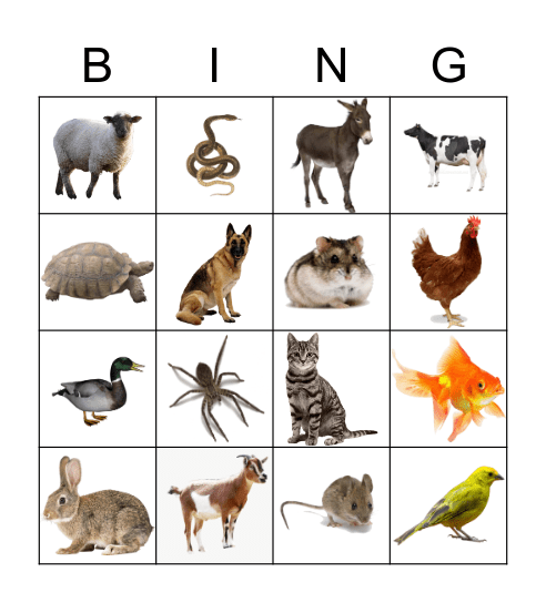 Animals Bingo Card