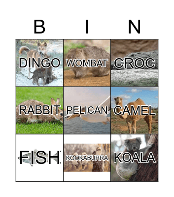 Australian Wildlife Bingo Card