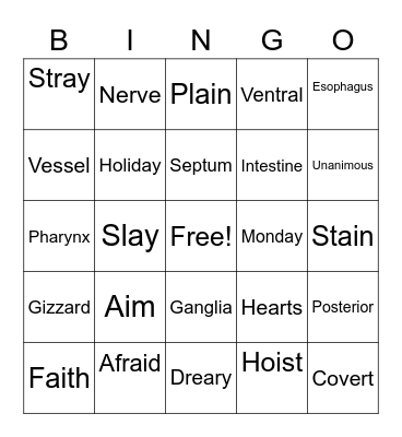 Spelling Bingo Card
