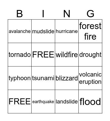 NATURAL DISASTERS Bingo Card