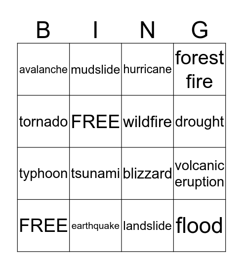 NATURAL DISASTERS Bingo Card